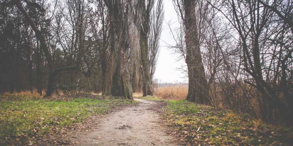 Keeping My Eye On A New Path…