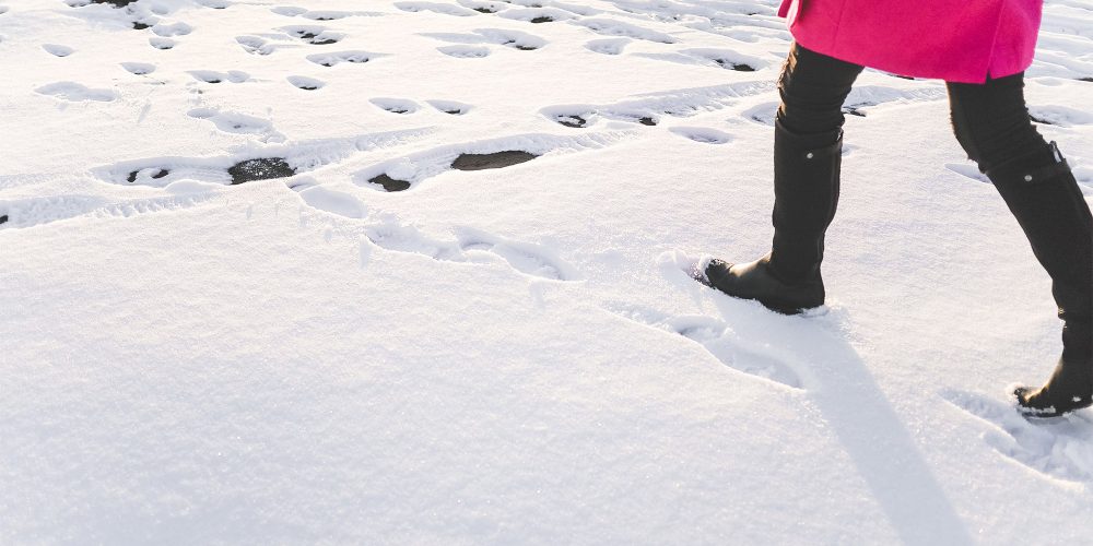 On their own path this week (01/30/16)