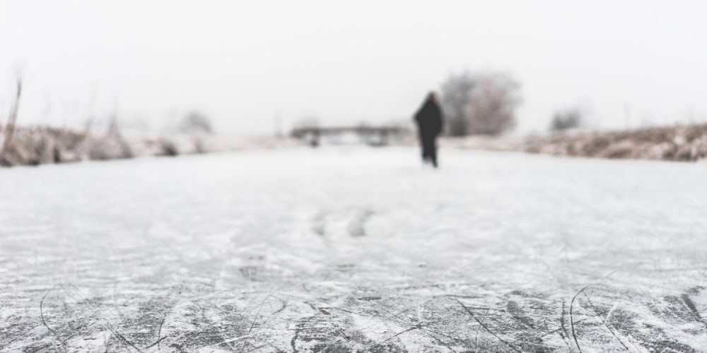 On their own path (01/28/2017)