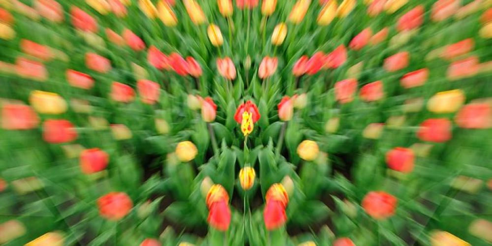 Zoom Out to Build Motivation for Learners & You